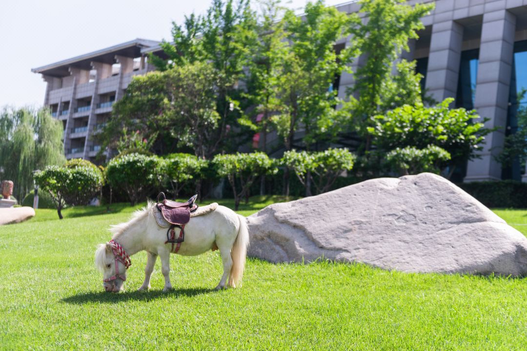 尊凯实业·(中国区)集团公司官网