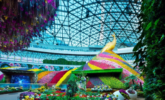 尊凯实业·(中国区)集团公司官网