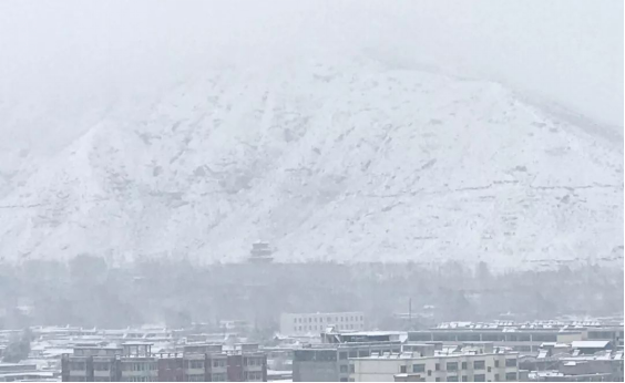 尊凯实业·(中国区)集团公司官网