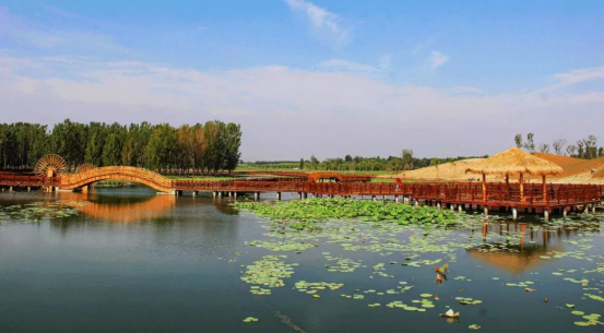 尊凯实业·(中国区)集团公司官网