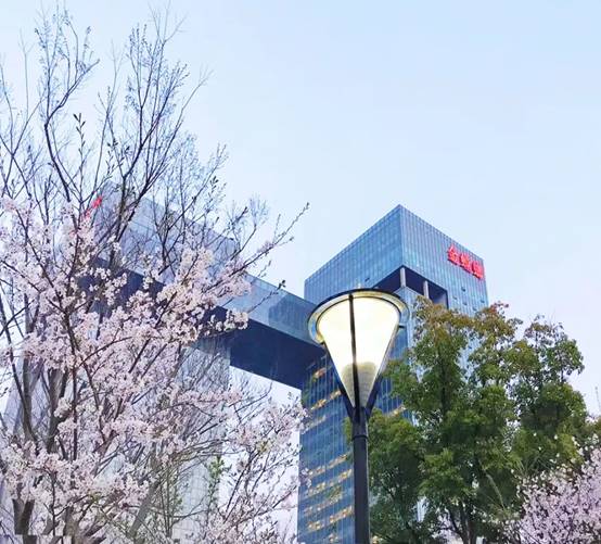 尊凯实业·(中国区)集团公司官网