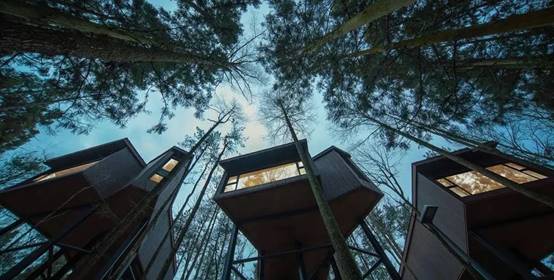 尊凯实业·(中国区)集团公司官网