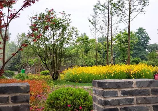 尊凯实业·(中国区)集团公司官网