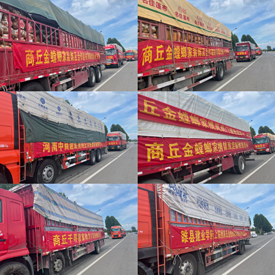 尊凯实业·(中国区)集团公司官网