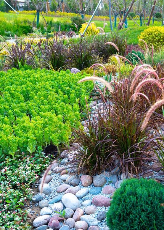 尊凯实业·(中国区)集团公司官网