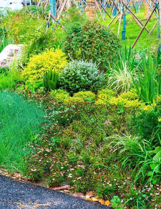 尊凯实业·(中国区)集团公司官网